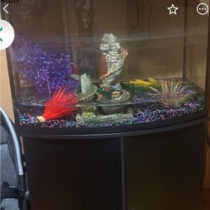 A fish tank with stand and decor